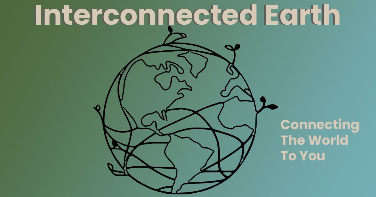 Stylized globe with connection lines