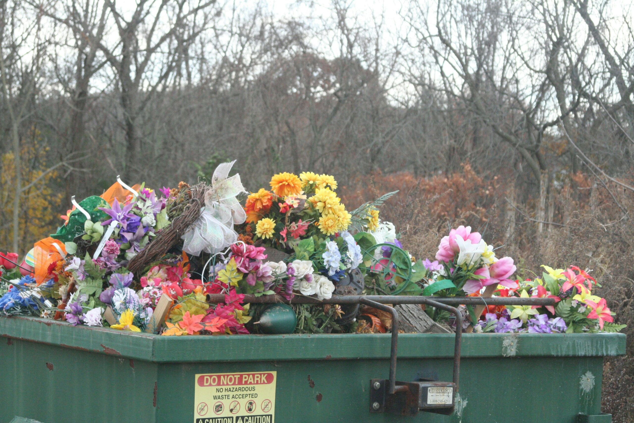 Colorful flowers in a dumpster prime for dumpster diving.