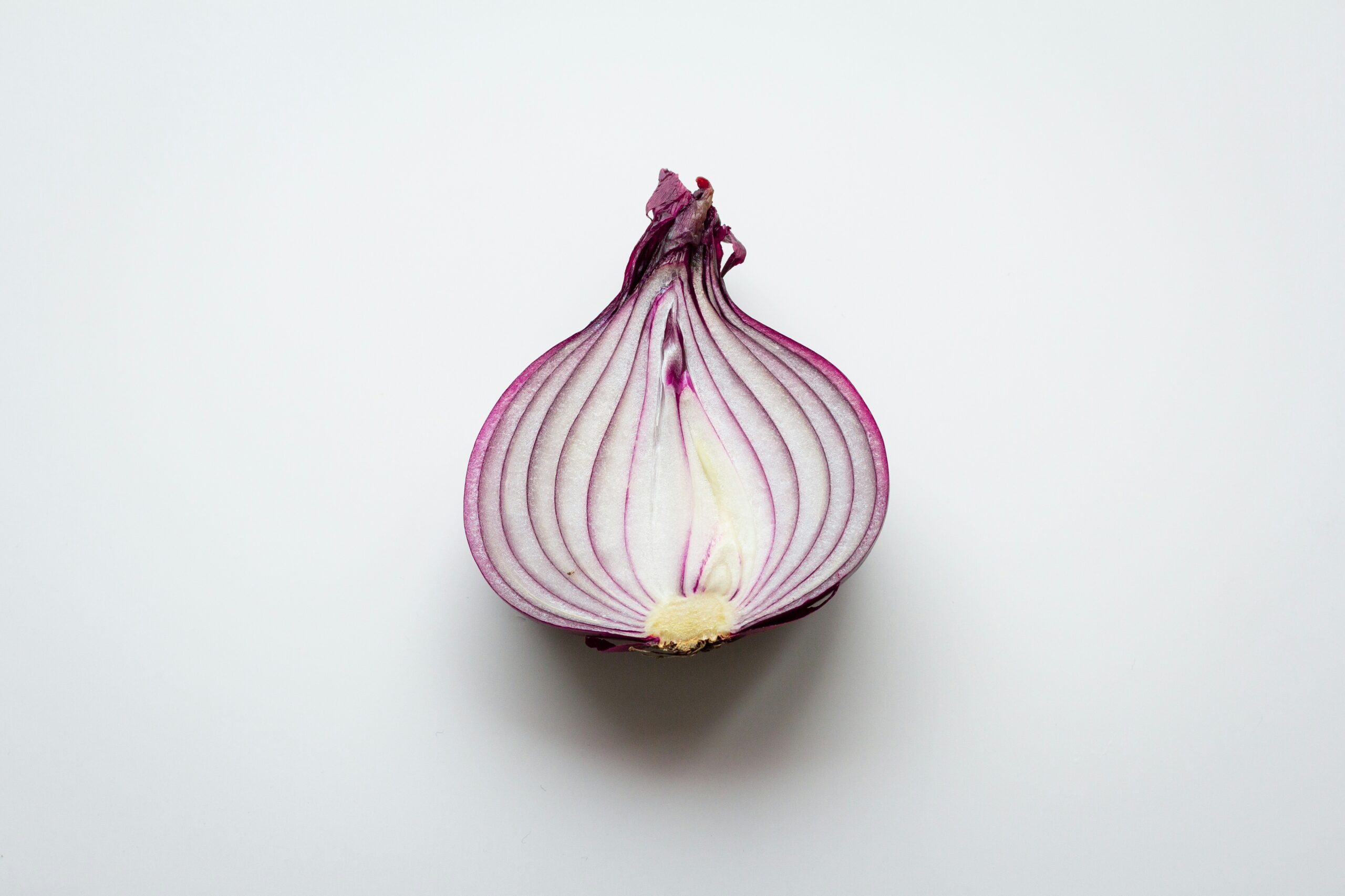 The Onion is set to buy Infowars, so here is a picture of an Onion.