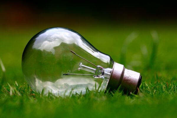 A light bulb in the grass a symbol of green energy