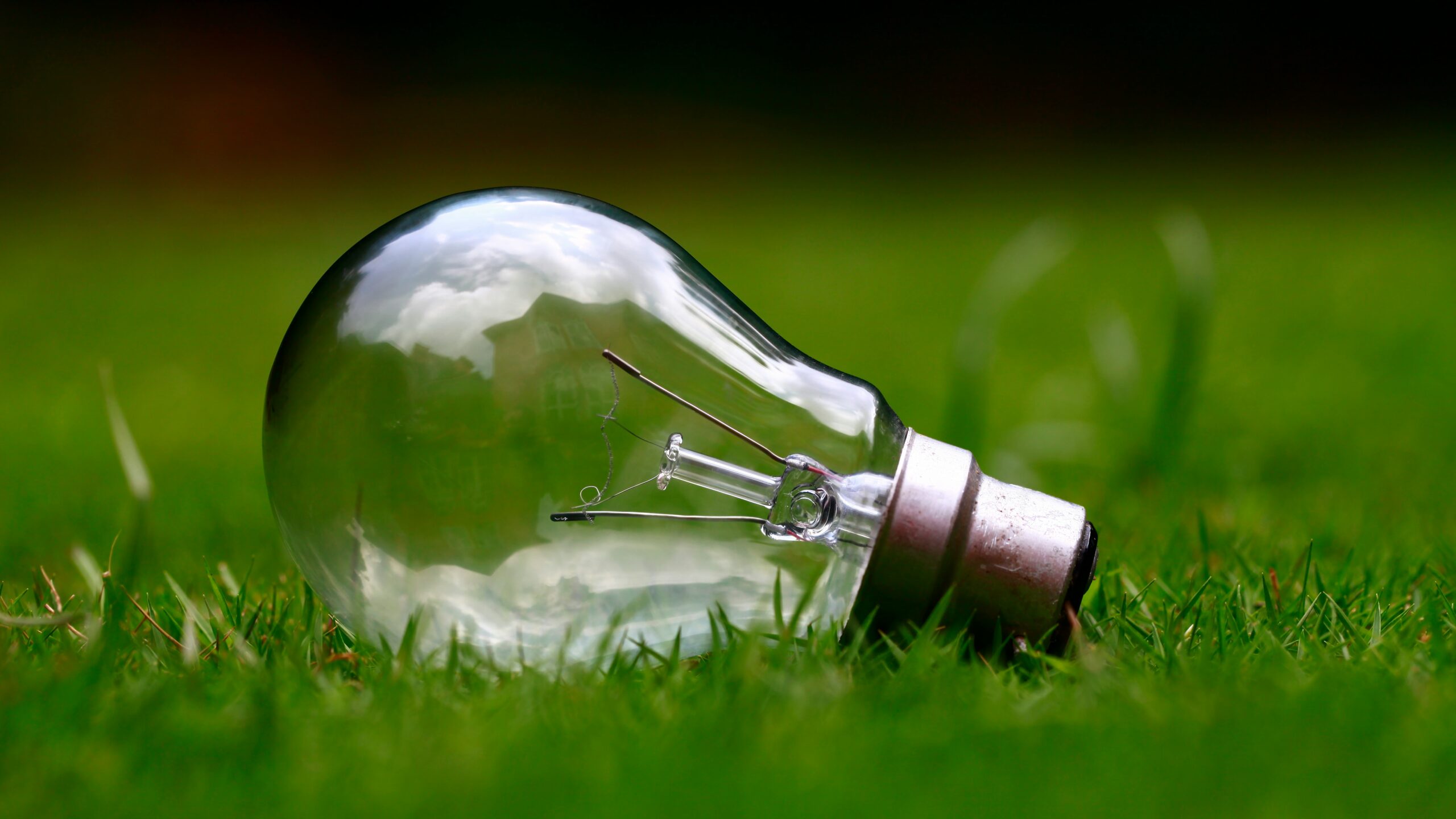 A light bulb in the grass a symbol of green energy