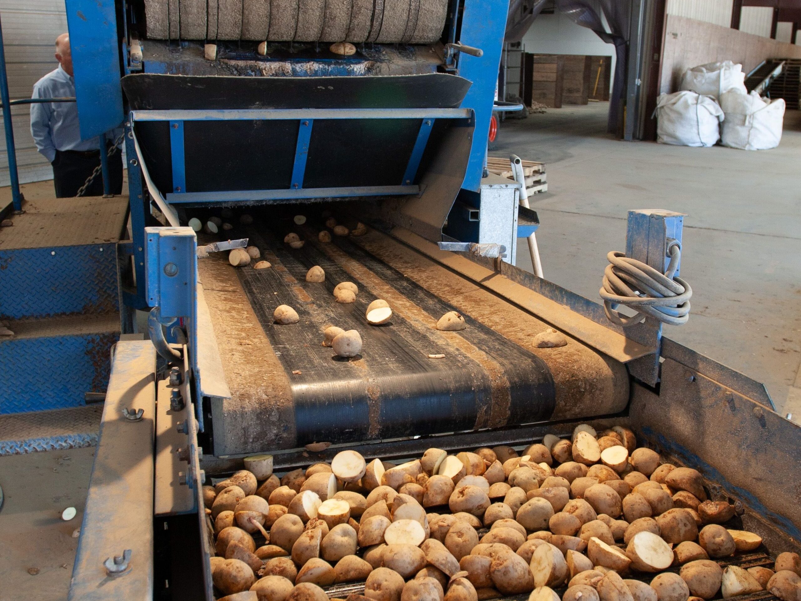 Close-up of an industrial machine processing potatoes in a factory setting.
