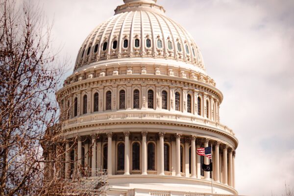 A vertical shot of the US Capitol Building dome in Washington DC, a historic landmark.