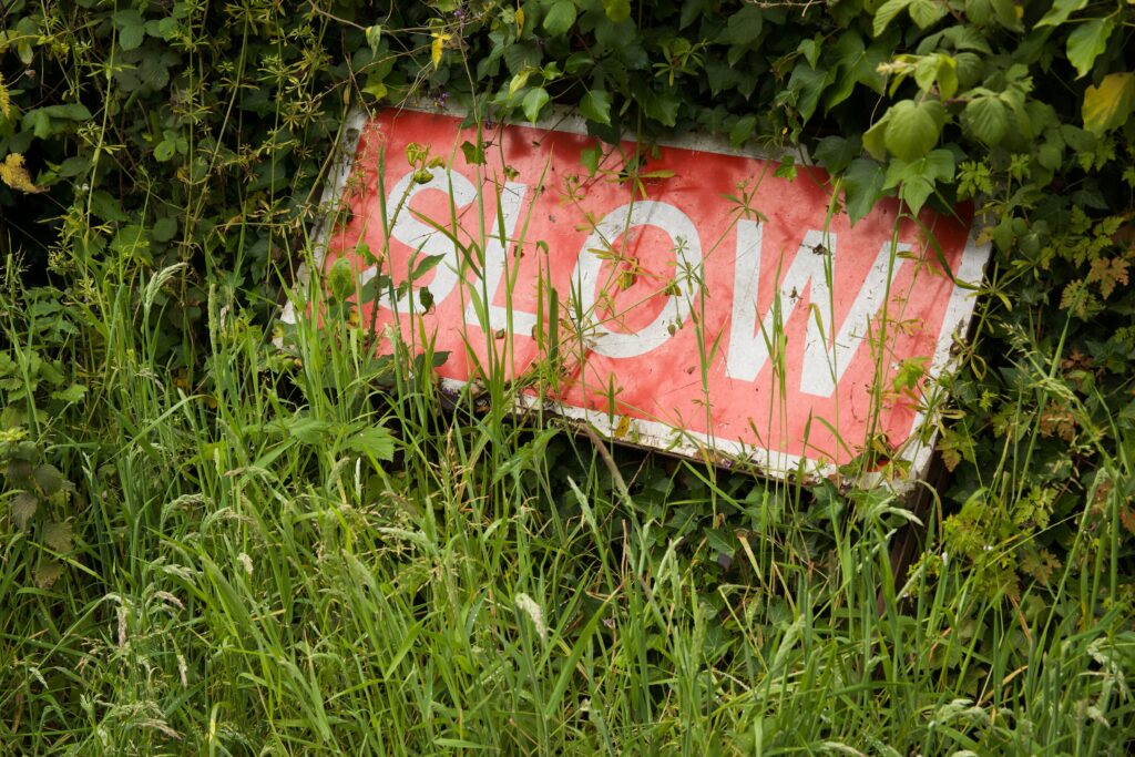 A dilapidated 'Slow' traffic sign surrounded by lush vegetation in England.